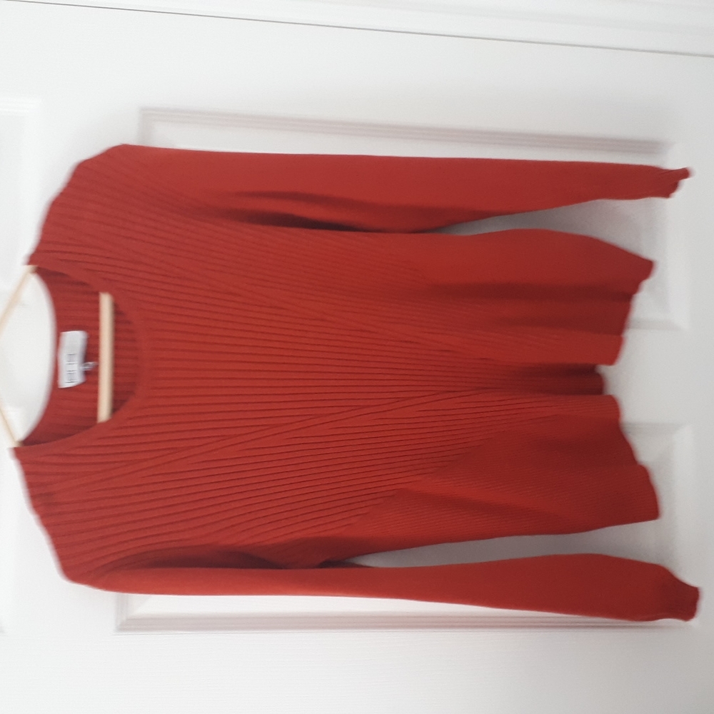 😊Sweater Lana lee no size tag may be XL